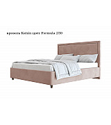 Кровать Katrin Beautyson подъемный механизм, ящик для белья 140 * 200 см Кровать Katrin Beautyson подъемный механизм, ящик для белья 140 * 200 см